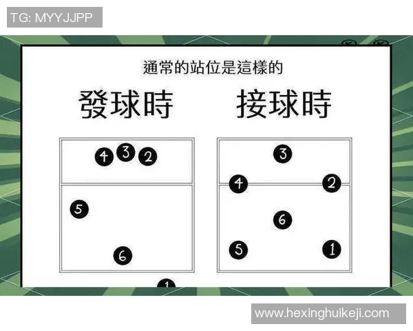 排球盛宴：深入解析北京排球队的默契配合与战术策略